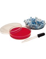 Plaques de Petri économiques en plastique