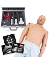 STAT with VausSim Ultrasound Simulation