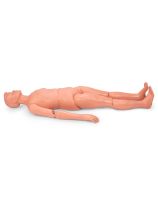 Patient Care Manikin -Light