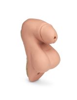 Simulaids&reg; Patient Care Manikins - Replaceable Genitalia - Male