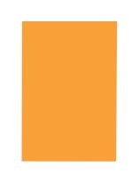 Carton bristol, 4 plis - 100 feuilles (22" x 28") - Orange 