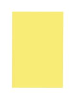 Carton bristol, 4 plis - 100 feuilles (22" x 28") - Jaune canari
