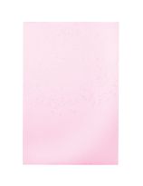Bristol Board, 4-Ply - 50 Sheets (55 cm x 70 cm / 22" x 28") - Pink