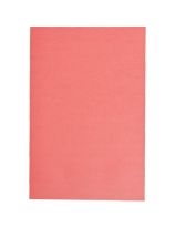 Bristol Board, 2-Ply - 48 Sheets (22" x 28") - Red
