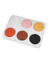 Spectrum Multicultural Tempera Cake Set with Paint Blocks Tray - Assorted - Set of 6