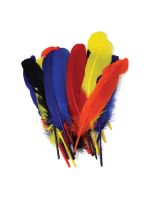 Medium Decorative Feathers - Assorted Colours - Set of 20