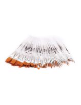 Spectrum Assorted Gold Taklon Brushes - Set of 132