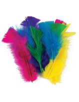 Small Decorative Feathers - Assorted Colours - Pack 30