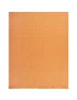 Carton bristol économique, 2 plis, 96 feuilles - 21,6 cm x 28 cm (8,5" x 11") - Orange