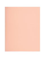 Bristol Board, 2 Ply - 21.6 cm x 28 cm (8.5" x 11") - 96 Sheets - 90 lb - Pink