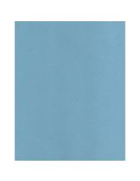 Carton bristol à 2 plis (90 lb), 21,6 cm x 28 cm - Paquet de 96 feuilles - Bleu clair