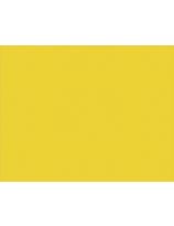 100 cartons bristol de qualité supérieure Pacon®, 2 plis, 56 cm x 71 cm - Jaune