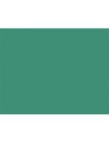 100 cartons bristol de qualité supérieure Pacon®, 2 plis, 56 cm x 71 cm - Vert