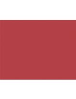 100 cartons bristol de qualité supérieure Pacon®, 2 plis, 56 cm x 71 cm - Rouge