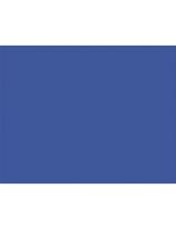 100 cartons bristol de qualité supérieure Pacon®, 2 plis, 56 cm x 71 cm - Bleu