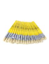 Ensemble de 24 pinceaux ronds et plats assortis Spectrum en soies de porc, à manche court,  pour débutants