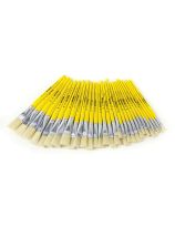Spectrum Assorted Junior Hog Flat Brushes - Set of 30