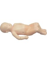 Infant Hip Sonography Training Phantom