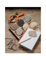 Let's Investigate Fossils