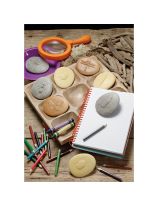 Let's Investigate Bugs