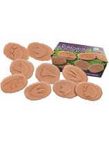 Let's Investigate - Dinosaur Footrpints