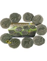 Let's Investigate - Woodland Footprints