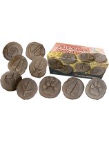 Let's Investigate - Farmyard Footprints