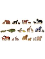 The Freckled Frog Animal Families