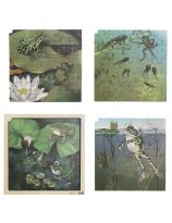 Life Cycle Puzzle, 4-Layers - Frog