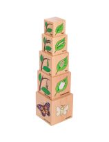 The Freckled Frog Lifecycle Wooden Blocks