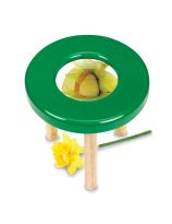 Magnification Science Station