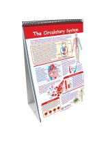NewPath Learning&reg; Human Body Curriculum Mastery® Flip Chart Set