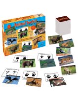 Animal Tracks