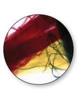 Thread Slide - Yellow/Blue/Red - Pack of 10