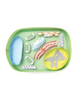 Simple Plant Cell 3-D Model Making Kit