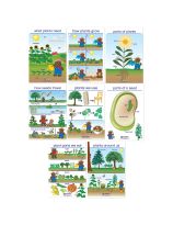 All About Plants Bulletin Board Charts - Set of 8