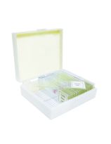 Meiosis Prepared Slide Set