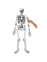 4ft Skeleton Floor Puzzle