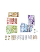 Canadian Magnetic Educational Money Set - Bills and Coins