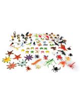 Exquisite Sorting-Counting Kit