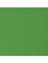 24 feuilles de papier de soie Art Tissue&trade; Spectra&reg; - 50 cm x 76 cm (20" x 30") - Vert pomme