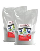 Sandtastik&reg; Plastermix Plaster of Paris Arctic White - 22 lb (10 kg) - Pack of 2