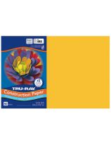 Papier construction Tru-Ray® résistant à la décoloration, 50 feuilles de 30,5 cm x 46 cm - Or