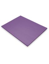 Tru-Ray&reg; Fade Resistant Construction Paper - 50 Sheets - 18" x 24" (45 cm x 60 cm) - Violet