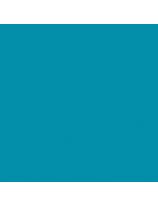 Papier construction économique pour l'école (55 lb), 50 feuilles de 23 cm x 30,5 cm - Turquoise