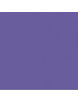 Papier construction économique pour l'école (55 lb), 50 feuilles de 23 cm x 30,5 cm - Violet