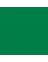 Nasco Country School™ Construction Paper - 50, 12" x 18" Sheets, 55 lb. - Holiday Green