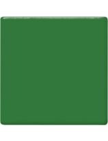Glaçure lustrée sans plomb Teacher's Palette, format de 473 ml (16 oz) – Vert grenouille