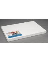 Canson&reg; Artist Series Mixed Media Paper - 100, 12" x 18" Sheets, 138 lb.