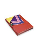 480 feuilles de papier de soie Pacon® KolorFast® à couleurs insolubles - 51 cm x 76 cm (20" x 30")